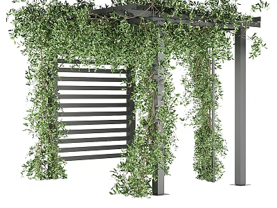 Lush Green Vines Covering Wooden Pergola With Lattice Backdrop In Garden 3d model