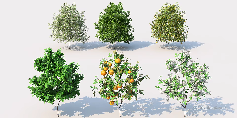 Various Arbor Trees With Different Leaf Colors Orange Fruits And White Blossoms 3d model 