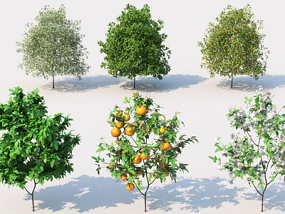 Various Arbor Trees With Different Leaf Colors Orange Fruits And White Blossoms 3d model