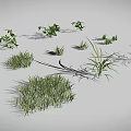 Various Green Plants Including Grass Shrubs and Leafy Sprouts Arranged on Gray Background