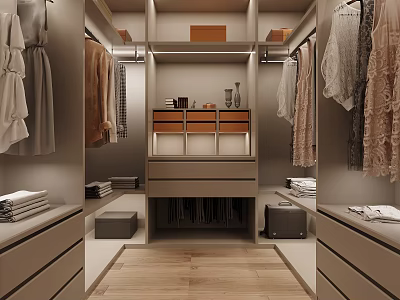 Modern Walk In Closet With Organized Storage Hanging Clothes And Drawers 3d model
