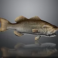 Detailed 3D Rendered Largemouth Bass Fish With Open Mouth Brown White Fins Tail