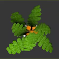 Cute Cartoon Carrot With Smiling Face Arms Legs And Red Shoes Green Leaves On Top