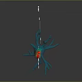 Chapter 7 Nerve tissue Nerve arch 3d model