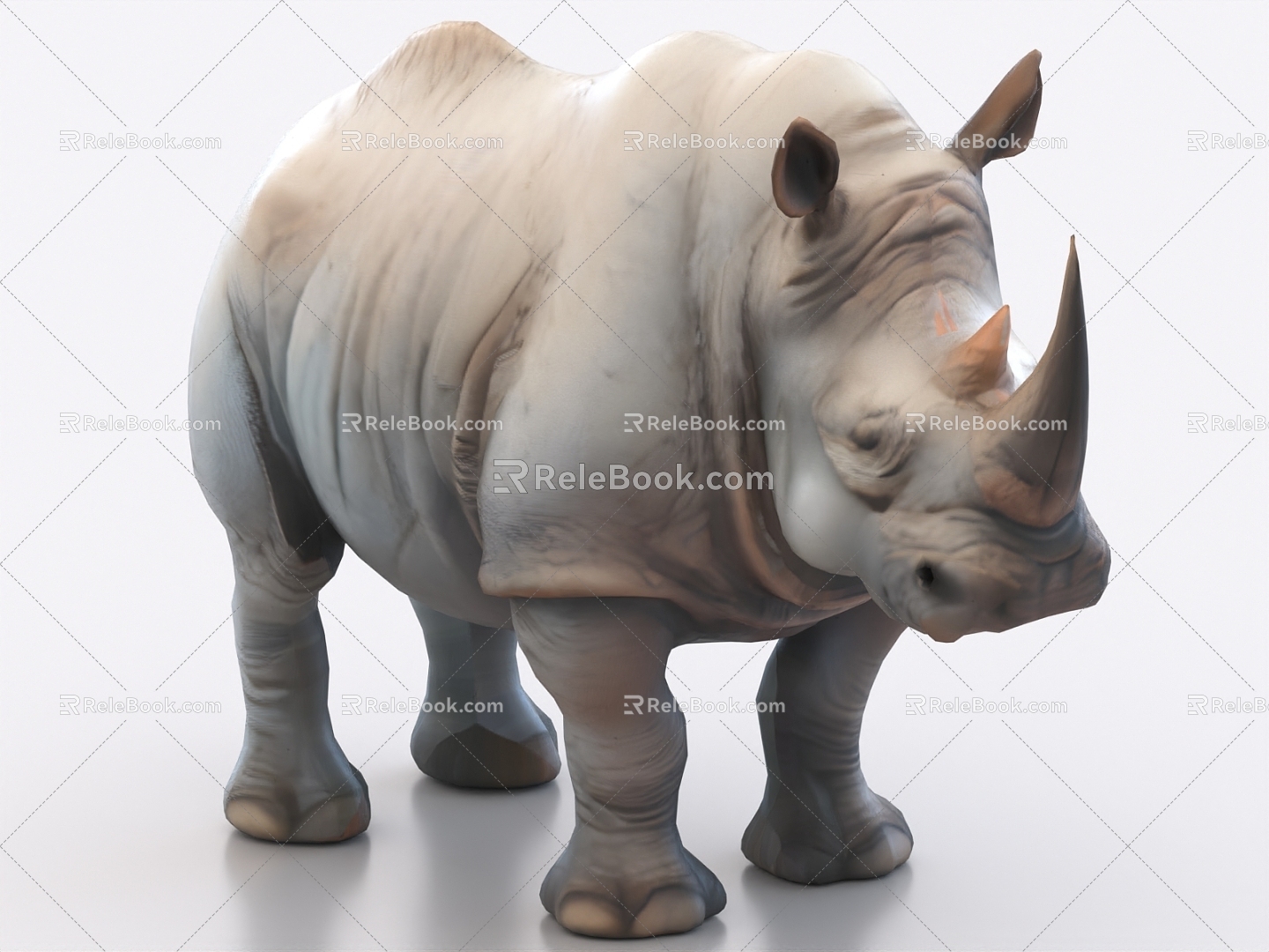 rhinoceros animal model