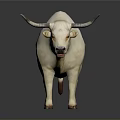 White Bull With Horns Standing On Dark Background With Reflection 3d model