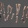 Different Poses And Styles Of Woman Legs Models Featuring Standing Bent And High Heel Designs