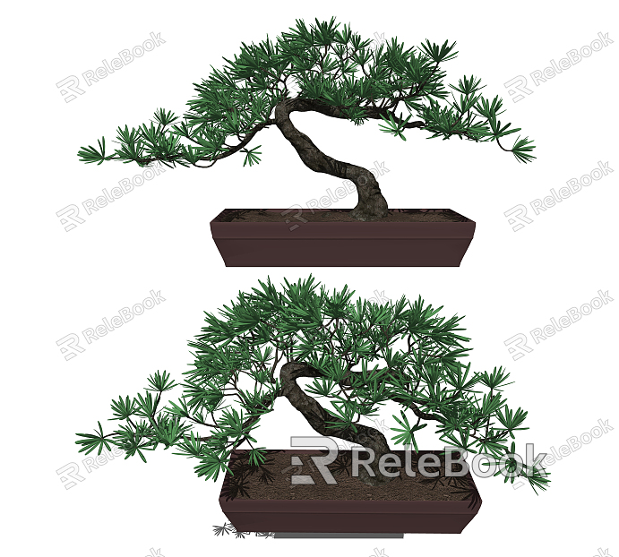 New Chinese Bonsai Pohan Pine Bonsai Green Plant Bonsai model