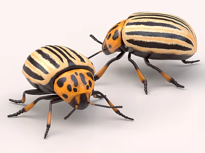 Two Striped Flying Insects With Black Yellow Patterns 3d model