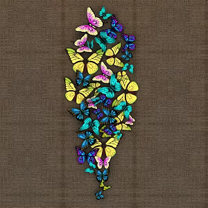 Modern Butterfly Craft 3d model