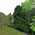 Outdoor Recreational Space With Colorful Pathways Surrounded By Trees And Play Structures
