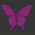 Modern Butterfly Colored Butterfly Tabby Butterfly Leaf Butterfly 3d model