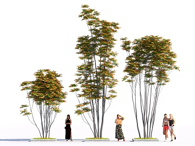 Lush Green Shrubs With Dense Foliage Standing Near People In Outdoor Garden Area 3d model