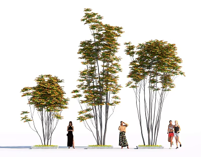Lush Green Shrubs With Dense Foliage Standing Near People In Outdoor Garden Area 3d model