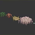 Animal Bones of Various Sizes with Porous Surfaces Arranged on Gray Background