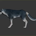 Blue Gray White Wolf With Red Lines On Legs 3D Model On Black Background Reflection