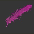 Modern centipede millipede spider cartoon centipede 3d model