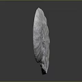 Spiral Ammonite Fossil With Intricate Natural Texture On Gray Background