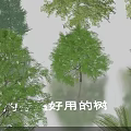 Various Green Shrubs of Different Types for Garden Landscaping and Decoration