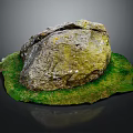 Natural Rustic Stone Material With Green Moss And Fresh Grass Leaves