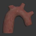 3D Rendered Human Organ Model With Pink Color And Hair Like Surface Structures