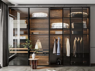 Modern Wooden Wardrobe Interior With Glass Doors Hanging And Folded Areas And Green Plant 3d model