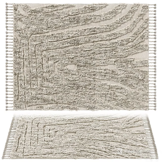 Textured Square Area Rugs With Fringed Edges In Neutral Shades 3d model 