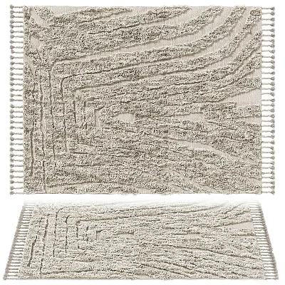 Textured Square Area Rugs With Fringed Edges In Neutral Shades 3d model