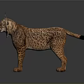 Realistic 3D Lynx Model With Spotted Fur Tufted Ears And Yellow Eyes