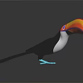Vibrant Toucan with Colorful Beak Black Body White Throat Standing on Black Surface with Reflection