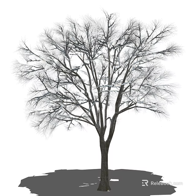 Tall Bare Arbor In Winter With Leafless Branches And Thick Trunk 3d model 