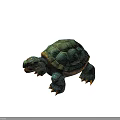 Realistic 3D Turtle Model With Green Textured Shell Blue Body And Sharp Claws 3d model