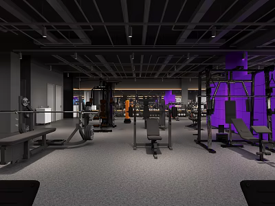 Modern Gym Interior With Various Fitness Equipment Purple Lighting Spacious Workout Area And Gray Flooring 3d model
