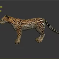 Realistic 3D Jaguar Model With Orange Black Spotted Fur Standing On Dark Reflective Surface