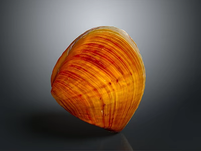 Orange Yellow Striped Shell Shaped Sculpture with Polished Surface and Smooth Texture 3d model
