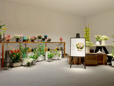 Indoor Bonsai And Potted Plants Display With Wooden Shelves And Flower Arrangements 3d model