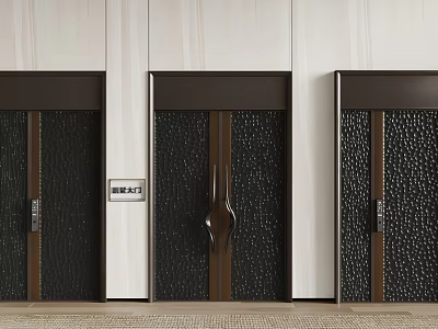 Modern Double Doors In Black And Brown With Textured Surface And Dark Frames 3d model