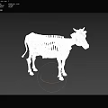 Detailed Cow Skeleton 3D Model With Anatomical Structure And White Design 3d model