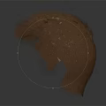 Realistic Human Head Organ With Detailed Brown Hair And 3D Rendered Natural Texture