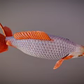 Vibrant Aquatic Animal With Silver Body Orange Fins Tail And Red Eyes