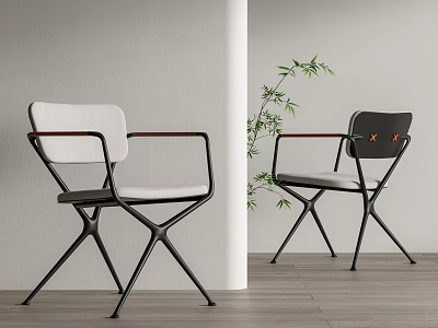 Modern Leisure Chairs In White Dark Design With Metal Frame Wooden Armrests And Green Plant 3d model