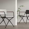 Modern Leisure Chairs In White Dark Design With Metal Frame Wooden Armrests And Green Plant