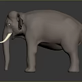 Detailed Brown Elephant Model with White Tusks Standing on Dark Background