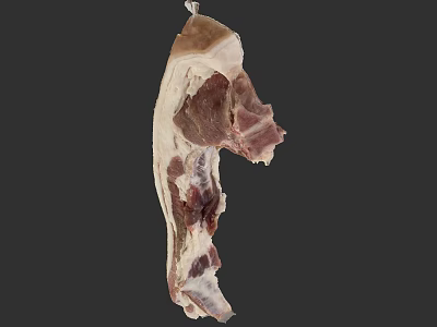Fresh Hanging Raw Meat Cuts for Butcher Shop Display and Cooking 3d model
