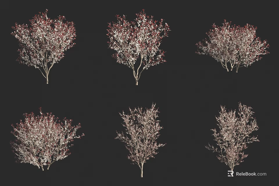 Different Types Of Decorative Shrubs With Red Foliage For Garden Landscaping 3d model 