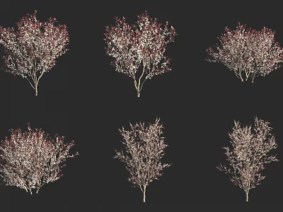 Different Types Of Decorative Shrubs With Red Foliage For Garden Landscaping 3d model