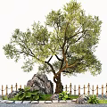 Modern Oil Olive Tree Courtyard Landscape Trees Street Trees Garden Trees 3d model