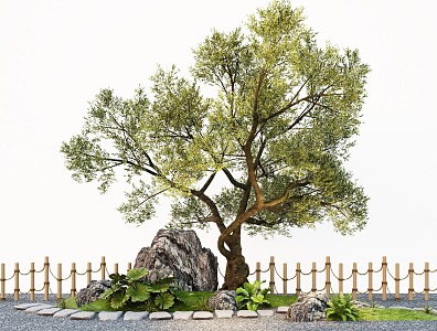 Modern Oil Olive Tree Courtyard Landscape Trees Street Trees Garden Trees 3d model