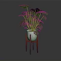Green Monstera Plant In White Pot On Red Three Legged Stand