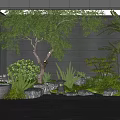 Tranquil Indoor Landscape With Lush Trees Green Plants Rocks Water Basin And Stone Lantern